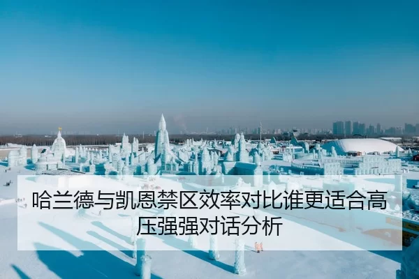 哈兰德与凯恩禁区效率对比谁更适合高压强强对话分析