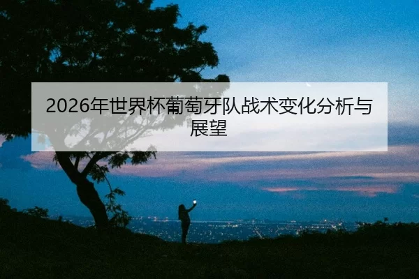 nian-shi-jie-bei-pu-tao-ya-dui-zhan-shu-bian-hua-fen-xi-yu-zhan-wang-2-448.jpg