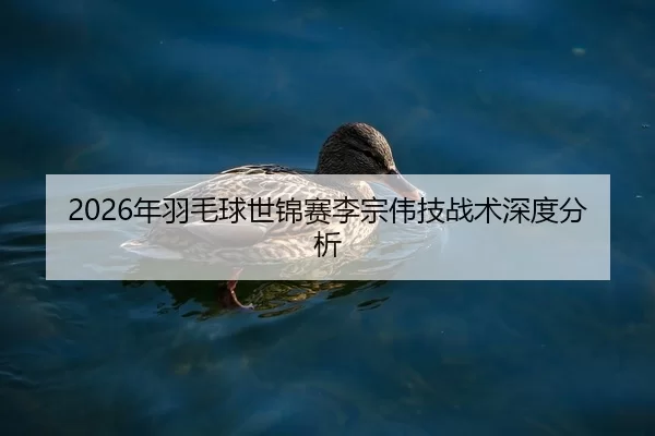 2026年羽毛球世锦赛李宗伟技战术深度分析