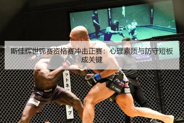 斯佳辉世锦赛资格赛冲击正赛：心理素质与防守短板成关键