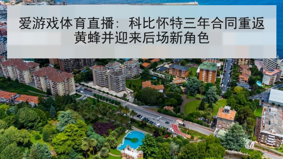 爱游戏体育直播: 科比怀特三年合同重返黄蜂并迎来后场新角色