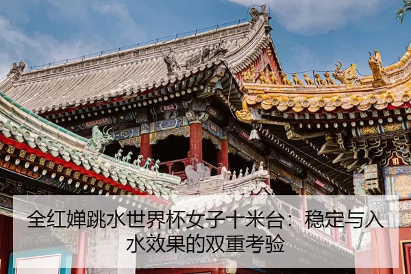 全红婵跳水世界杯女子十米台：稳定与入水效果的双重考验