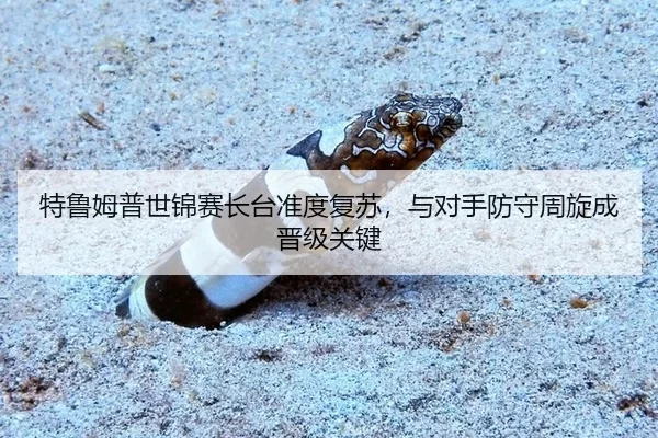特鲁姆普世锦赛长台准度复苏，与对手防守周旋成晋级关键