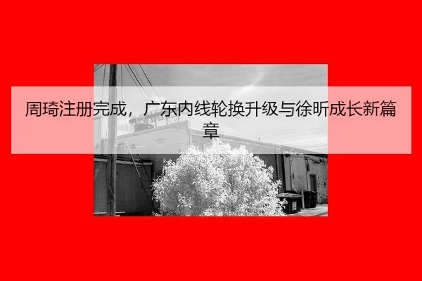 zhou-qi-zhu-ce-wan-cheng-guang-dong-nei-xian-lun-huan-sheng-ji-yu-xu-xin-cheng-zhang-xin-pian-zhang-3-663.jpg