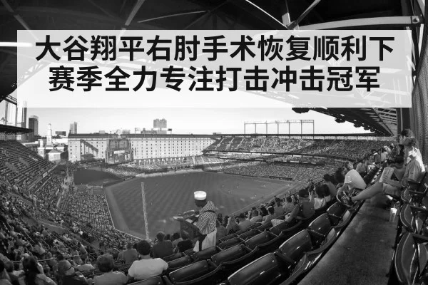 baseball stadium crowd