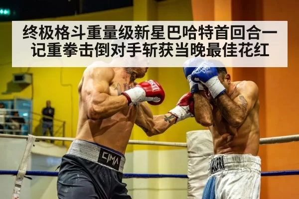 heavyweight boxing match